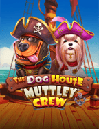 โปรโมชั่น สล็อตแมชชีน: สูตรทำกำไรจาก NetEnt